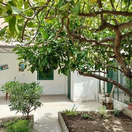 Sunny House