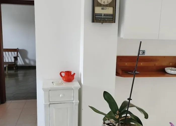 Sunny House פרגליה