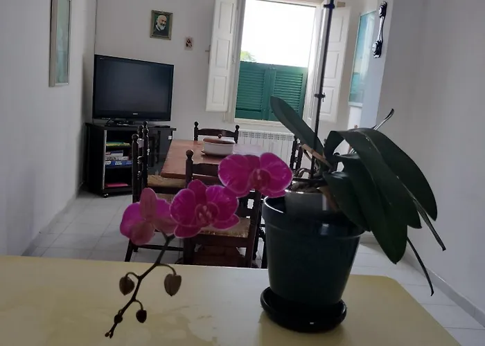 דירה Sunny House