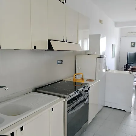 Sunny House Apartment