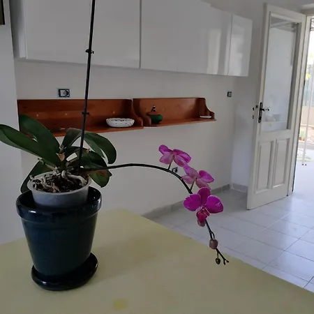 Sunny House Parghelia