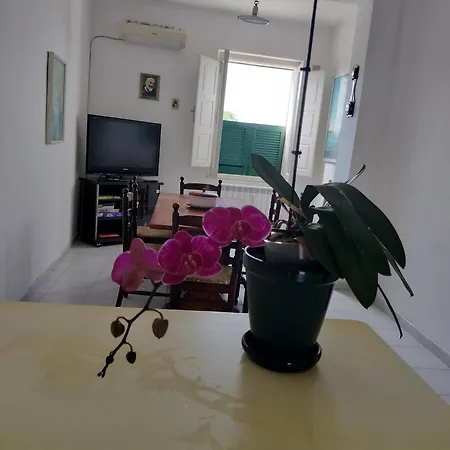 Apartment Sunny House