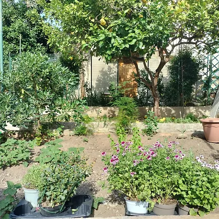 Apartment Sunny House Parghelia