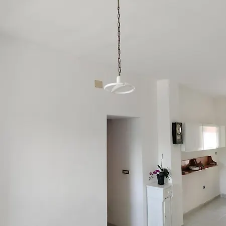 Sunny House Apartment