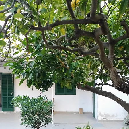 Апартаменты Sunny House *