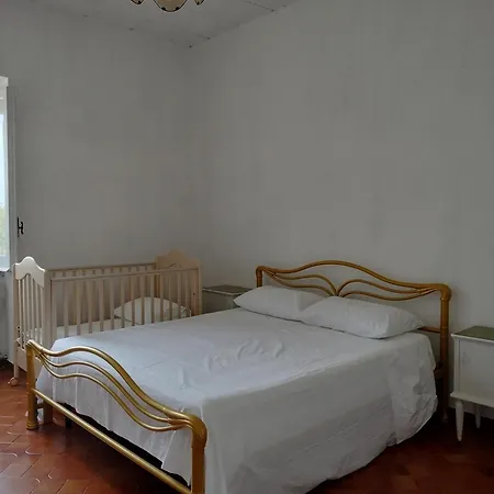 Apartment Sunny House Parghelia