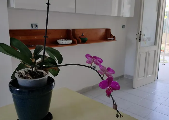 Sunny House Parghelia