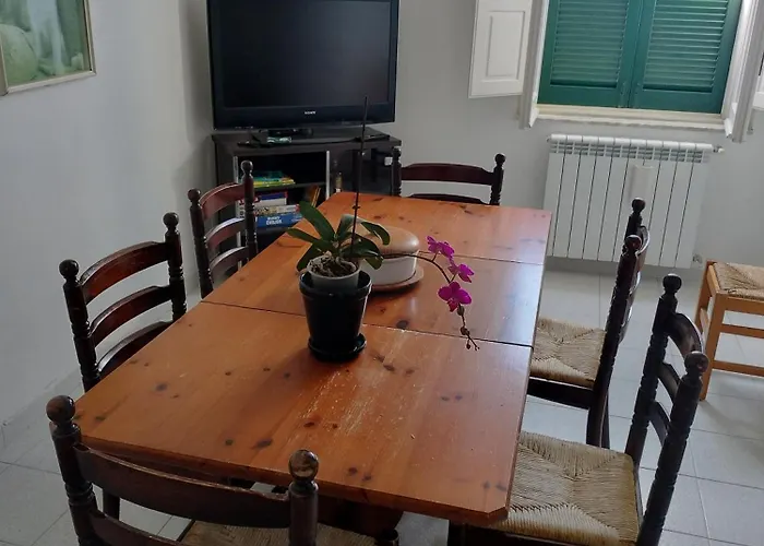 Sunny House Apartment *