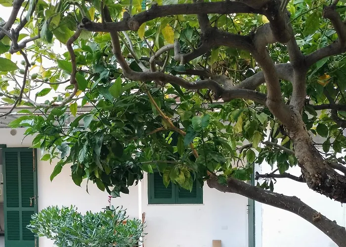 Apartman Sunny House *