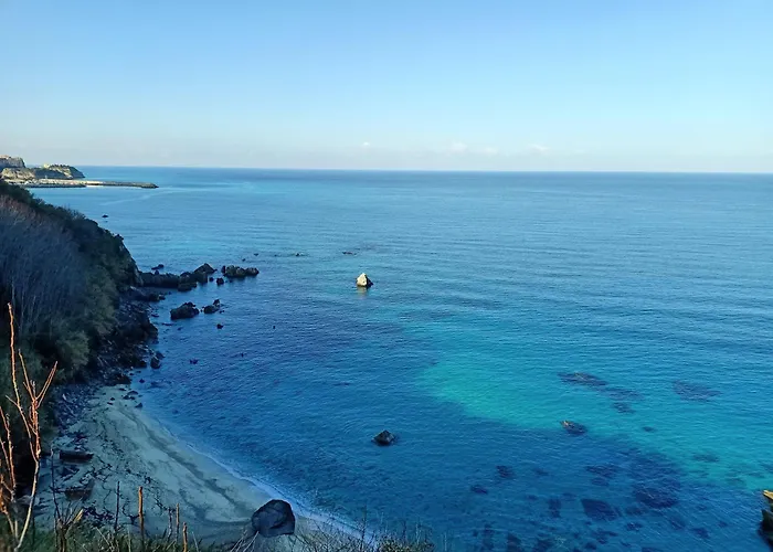 Sunny House Apartment